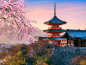 Japón